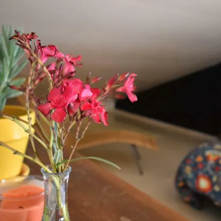 Homestay Villa Ericeira *